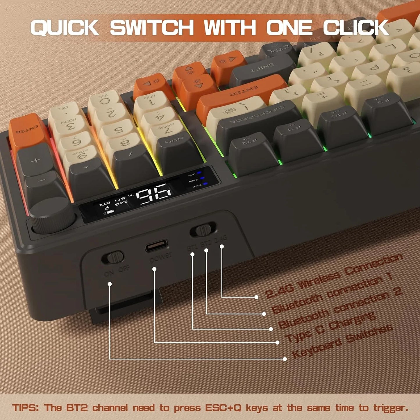 ZIYOU LANG M96 96% Membrane Wireless Gaming Keyboard BT/2.4G Silent Rainbow LED
